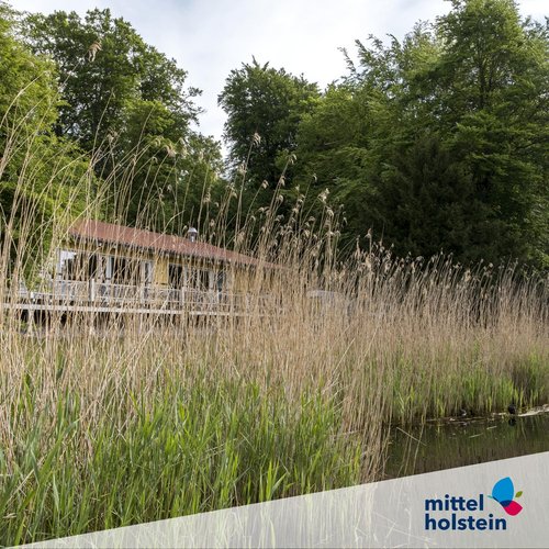 MHT.SH & Peter Lühr